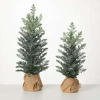 25 H и 20,5 H Sullivans Snowy Pine Tree in Burlap - сет од 2, зелена