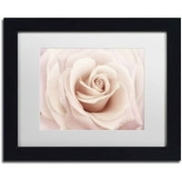 Трговска марка ликовна уметност „праска розова роза“ платно уметност од Кора Ниле, бела мат, црна рамка