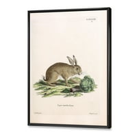 Дизајн на „Антички зајаци во Земјата Тонови“ Фарма куќа врамена платно за печатење на wallидни уметности