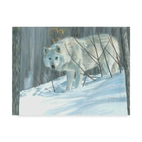 Заштитен знак Ликовна Уметност Зимски Волк Во Пејзаж Платнена Уметност Од Карла Курт