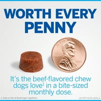 Nexgard џвака за кучиња, 24,1- lbs - таблети за џвакање