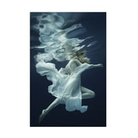 Дмитриј Лаудин „вода и воздух“ платно уметност